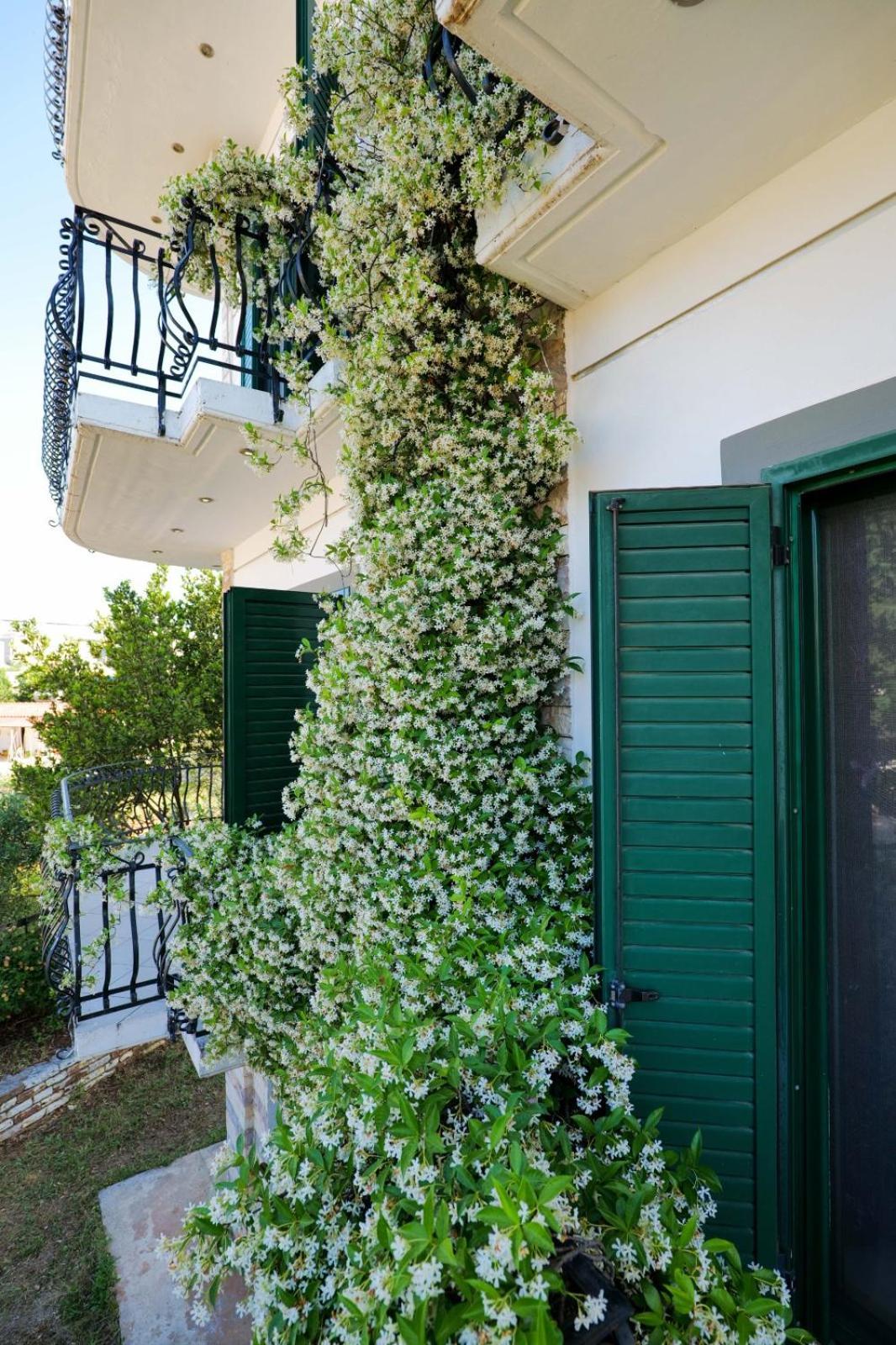 Sea La Vie Apartments Ksamil Exterior photo